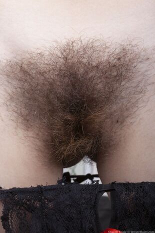 utter pubic hair puss pictures