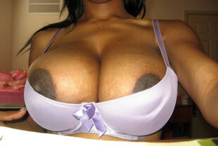 scorching chicks with ample titties
